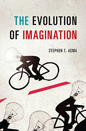 The evolution imagination - of,